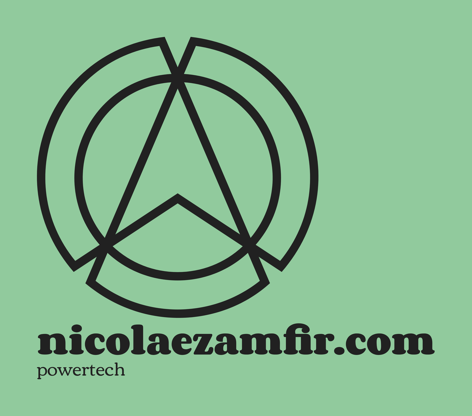 nicolarzamfir.com